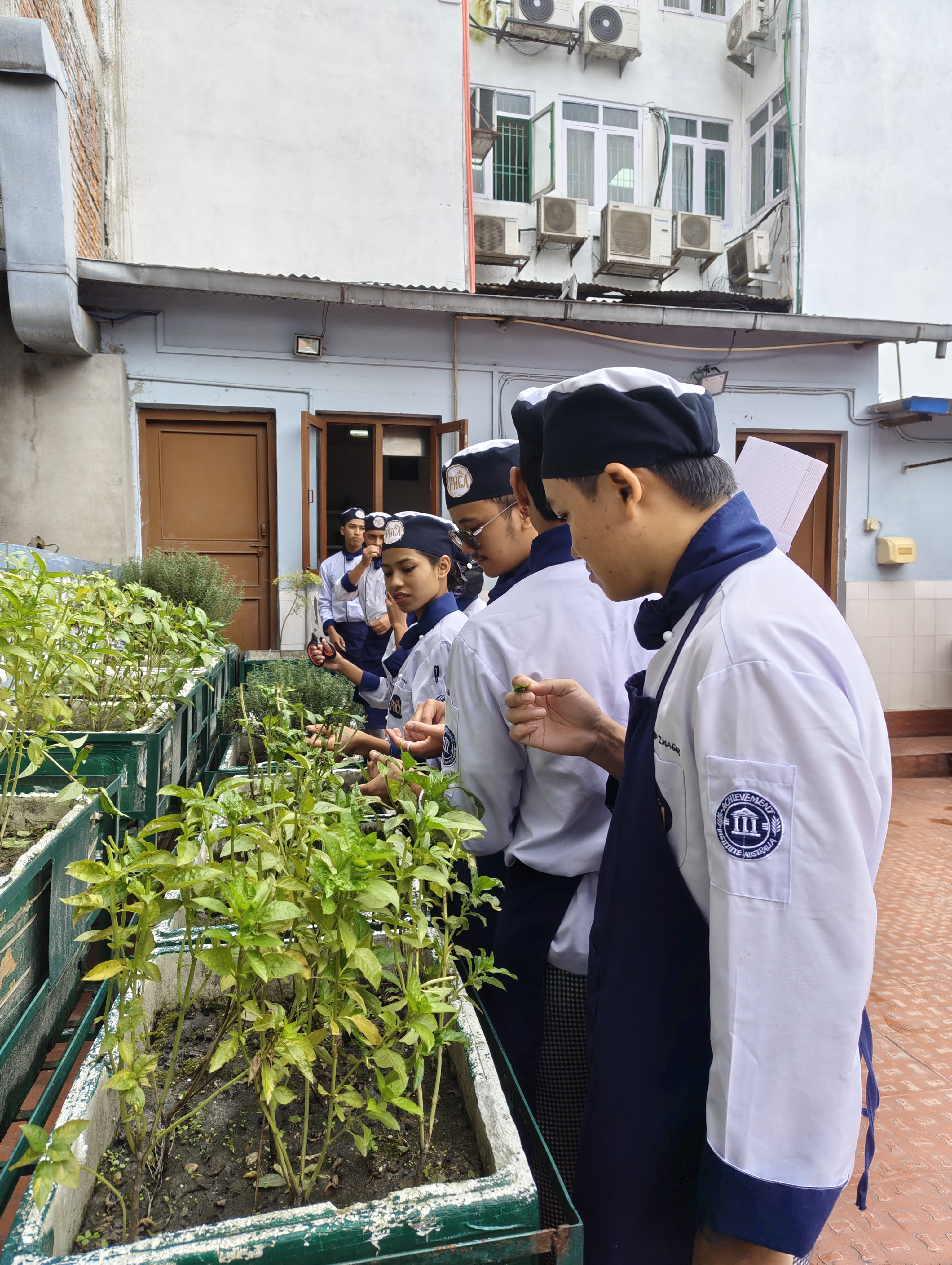 Ingredient Selection