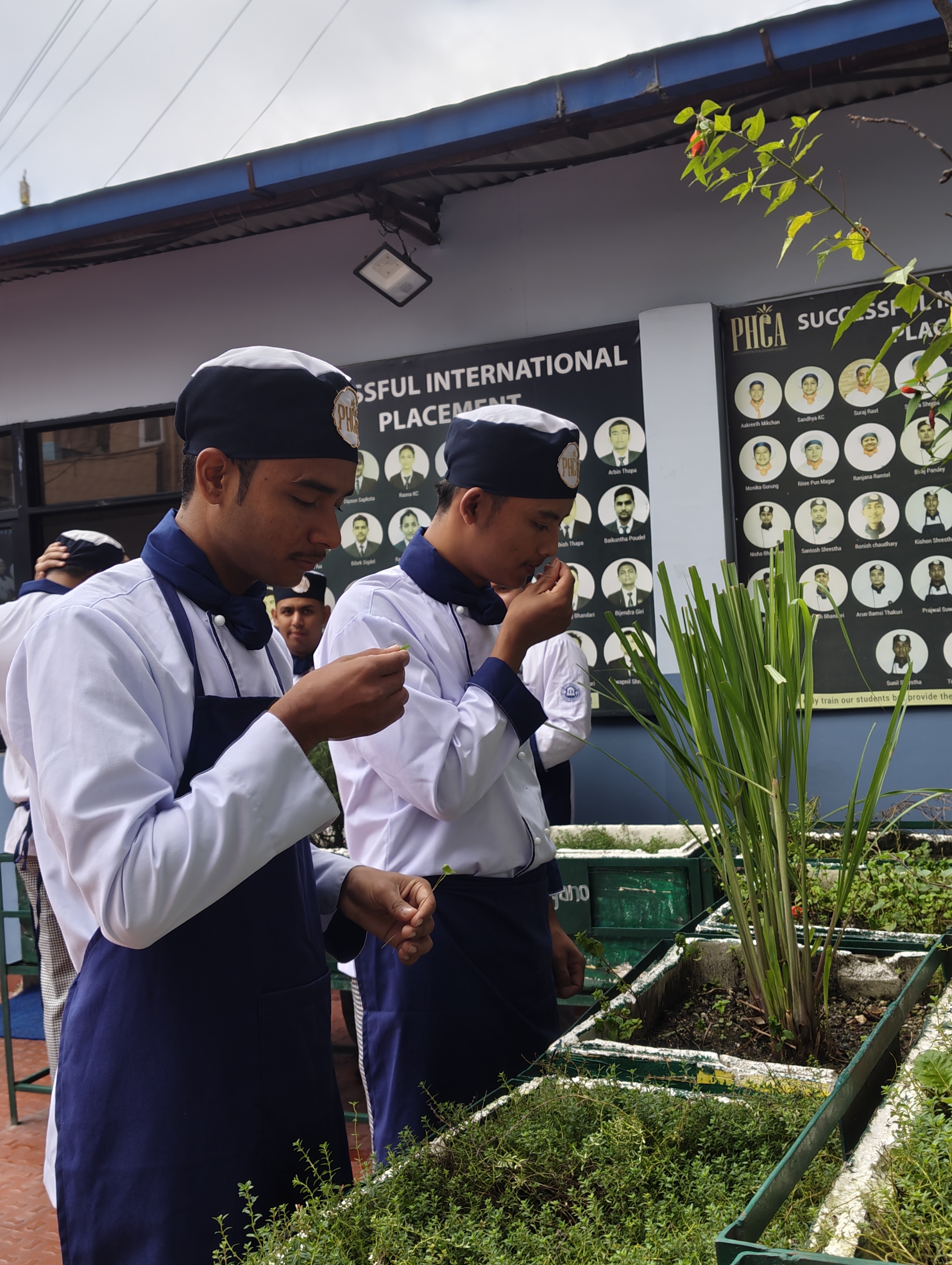 Ingredient Selection